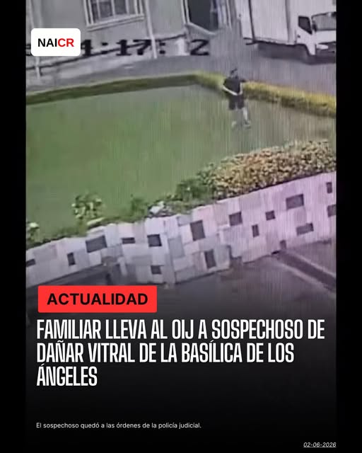 Danos A La Basilica De Los Angeles