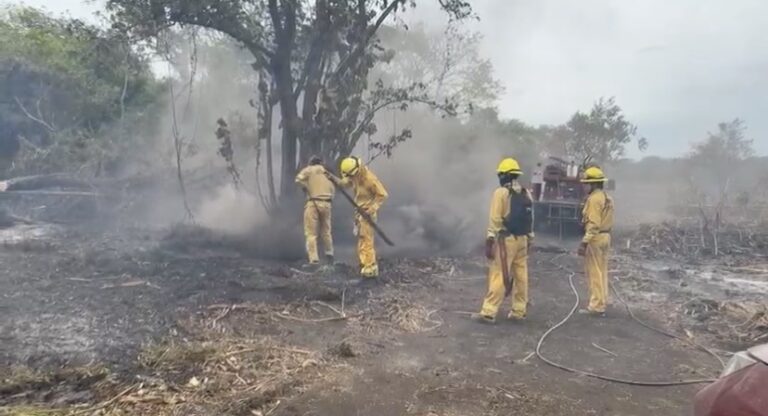 Incendio forestal parque nacional palo verde