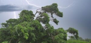 Vientos perderán fuerza este jueves, pero aumentarán las lluvias en varias regiones del país