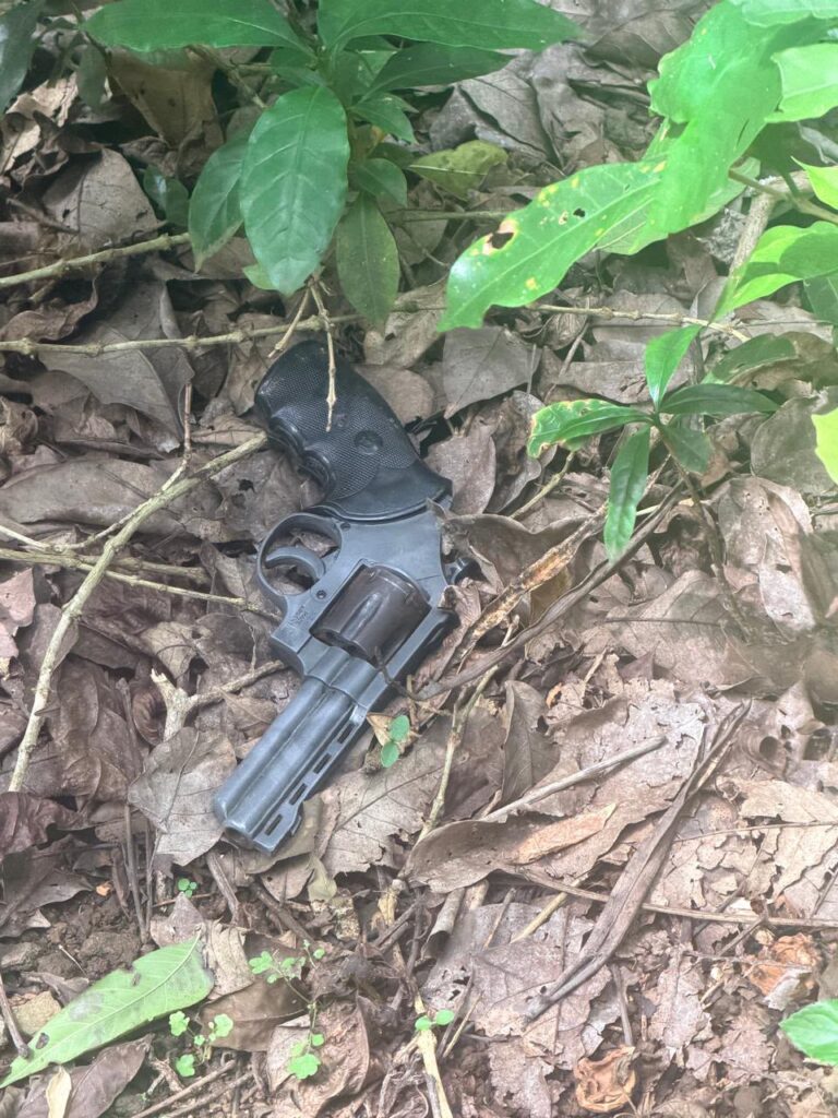 Arma Decomisada Fuerza Publica
