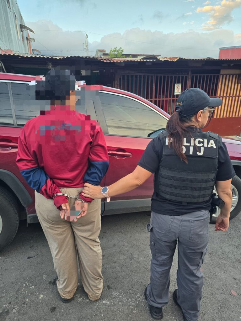 Detenidos Ciber1