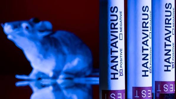 Hantavirus