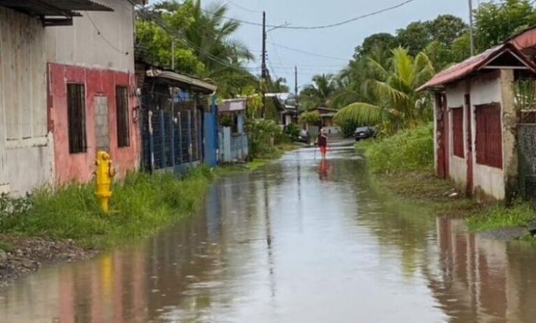 Lluvias Limon